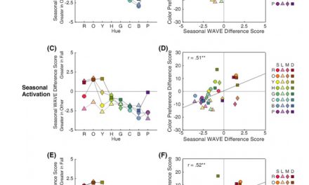 계절에 따른 색채 선호도 변화