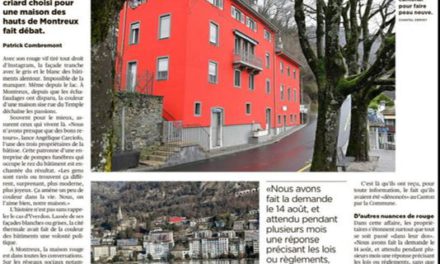스위스 몽트뢰 지역의 화제가 된 주택 색채