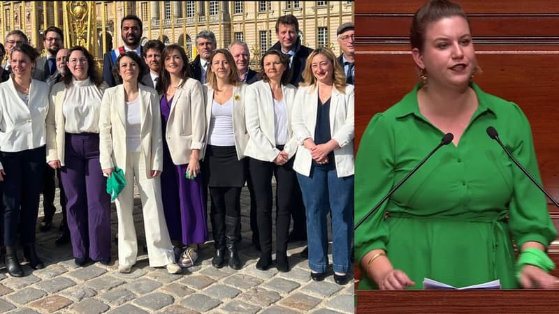 프랑스 낙태 투표 의원들의 매우 상징적인 색