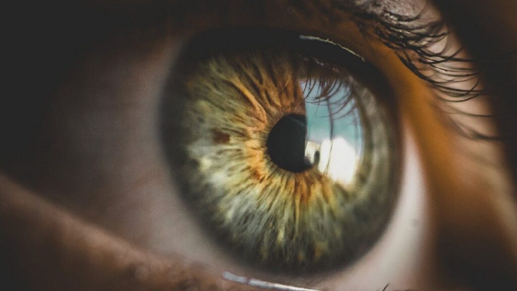 눈의 색은 읽기 능력에 영향을 미칩니다