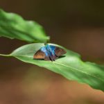 자연의 탈색: 생태계 위기의 색채학적 증상