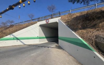 굴다리를 넘어 일상을 바꾸다, 성주군 선남면의 색채 정비