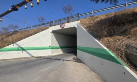 굴다리를 넘어 일상을 바꾸다, 성주군 선남면의 색채 정비