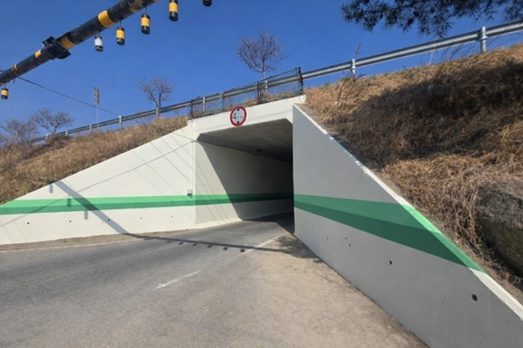 굴다리를 넘어 일상을 바꾸다, 성주군 선남면의 색채 정비